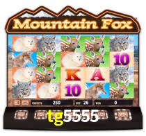 APP oficial da tg5555 para mobile